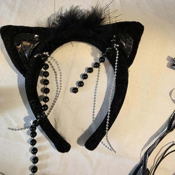 Sexy Kitty Black Cat Vixen Costume Accessory Set 8 Pieces EUC - Picture 2 of 8